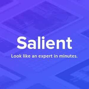 Salient - Responsive Multi-Purpose Theme download PLR