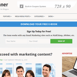 Theme Junkie Beginner WordPress Theme download PLR