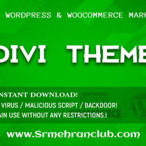 Divi WordPress Theme download