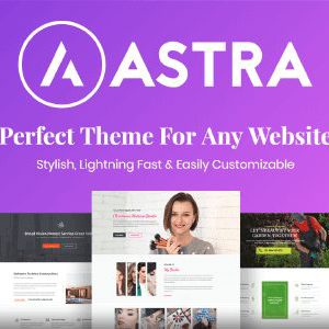 Astra Premium Starter Templates download PLR